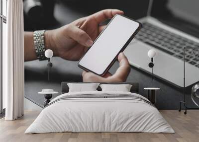 Cropped shot of businessman holding blank screen smartphone while working on his project Wall mural