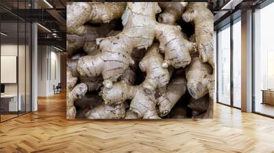 Fresh organic ginger on fresh market Wall mural