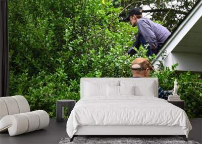 Bush Trimming From Ladder and Rooftop Wall mural