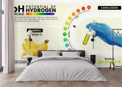 pH scale five properties, calculation and examples - Vector illustration Wall mural