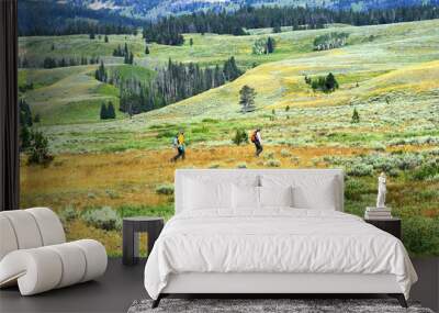 Field work, for two park rangers in Yellowstone National Park, includes spraying and maintaining control of grass and weeds. Wall mural