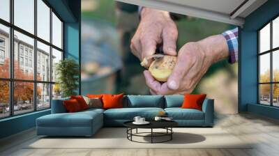 Close up of elderly hands peeling potato outdoor showing weathered yet skilled grip on peeler in natural light setting Wall mural