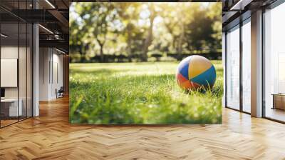 Colorful ball on lush green grass in a sunny park, vibrant outdoor play, summer day concept Wall mural