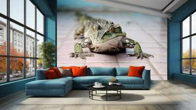 Green wild big lizard or iguana crawling on tiled floor surface at house indoor Wall mural