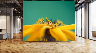 macro photo of big yellow flower with blurred petals on green natural background Wall mural