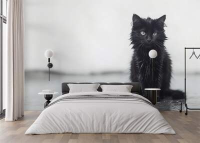 Wet black kitten sitting on wet surface with blurred background. Adorable young cat with soaked fur looking at camera Wall mural