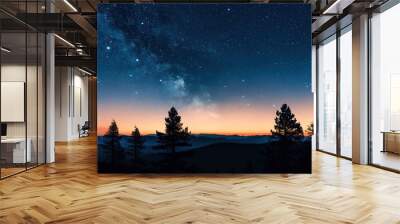 A serene image of a national parkâ€™s starry night sky with silhouetted landscapes, featuring a clean background and plenty of copy space for information about stargazing opportunities and park hours. Wall mural