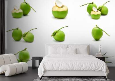 Collection set of Coconut Ripe and tasty isolated on white background Wall mural