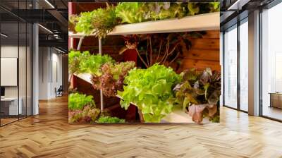 Organic vegetables on shelf market. For healthy concept Wall mural