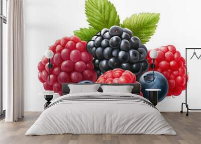 A vibrant assortment of fresh berries including blueberries, blackberries, and raspberries, perfect for healthy snacking. transparent background Wall mural