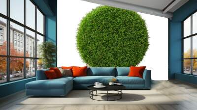 A vibrant green grass ball perfect for landscaping and garden design, adding a natural touch to any outdoor space. transparent background Wall mural