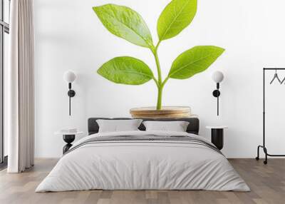 A vibrant green plant growing from a stack of coins, symbolizing investment, growth, and financial prosperity. transparent background Wall mural