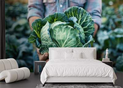 Farmer holding freshly harvested cabbage in field Wall mural