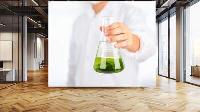 Asian scientist with science research biology with seaweed or kelp in the laboratory on white background                                                          Wall mural