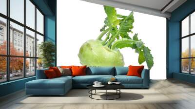 fresh kohlrabi with drop of water isolated, png Wall mural