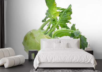 fresh kohlrabi with drop of water isolated on white background Wall mural