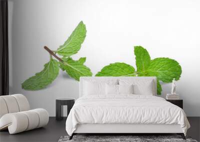 fresh mint leaf isolated on white background Wall mural