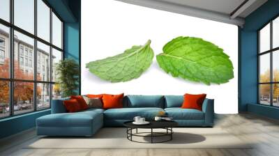 fresh mint leaf isolated on white background Wall mural