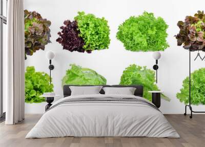 set of lettuce vegetable isolated on white background Wall mural