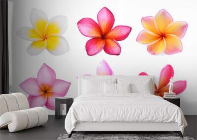 set of white frangipani (plumeria) flower isolated on white background Wall mural