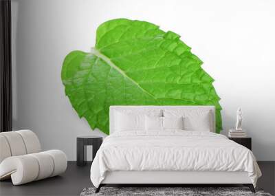 single fresh mint leaf isolated on white background Wall mural