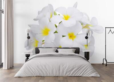 white frangipani (plumeria) flower isolated on white background Wall mural