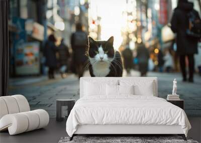 A black and white cat walking down a city street, A tuxedo cat being nice walking on street Wall mural