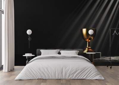 A golden cup sits on a black surface, with a spotlight shining on it, achievement and celebration Wall mural