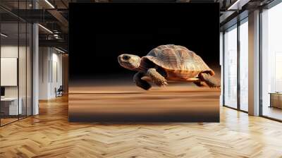 Fast Moving Tortoise with Rocket Propulsion Wall mural