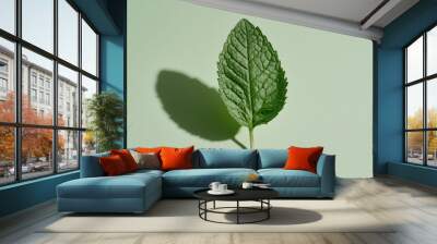 Fresh Mint Leaf on Soft Green Background Wall mural