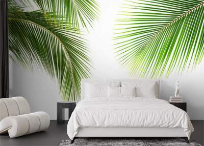 Coconut palm leaves isolated on white background Wall mural