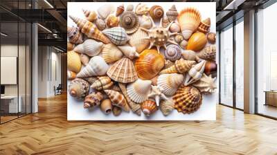 Shells on white background. top view Wall mural