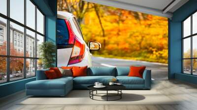 Close Up Tail lamp of The car on the road or gold line in the forest during the autumn season with blur forest and Leaves change color background in travel and transportation concept. Wall mural