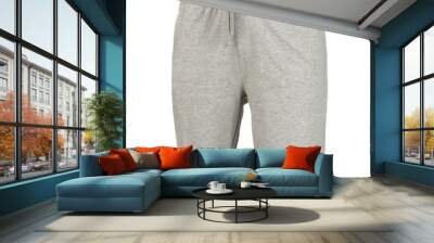 Gray men's pants isolated on white background Wall mural