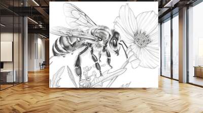 A cute bee collecting nectar from a flower for kid coloring book with crisp lines and white background no shading Wall mural