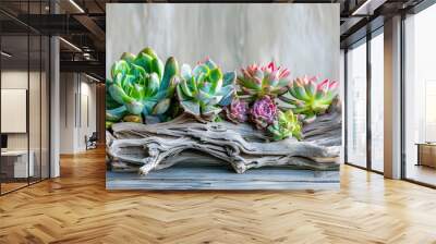 A decorative arrangement of succulents in a driftwood planter. Wall mural