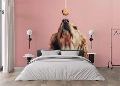 A dog gazes eagerly at a cookie dangling above it, set against a pink background. Wall mural