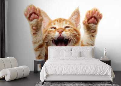 A playful orange kitten with its mouth open, raising its paws in an adorable pose. Wall mural