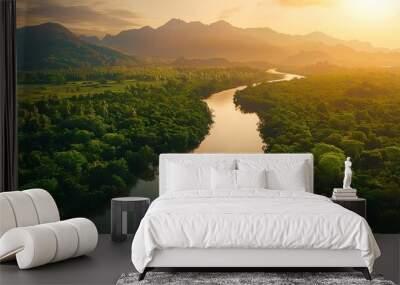 Beautiful natural scenery of river in tropical green forest with mountains in background at sunset, aerial view Wall mural