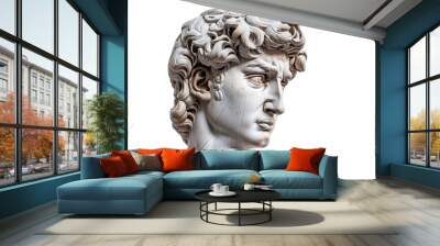 David's Head: A Renaissance Masterpiece Wall mural