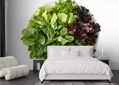 Assorted fresh leafy greens in a white bowl for a healthy salad Wall mural