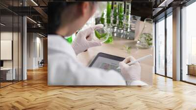 Young Scientist woman, laboratory and test tube with plants, research and analysis of leaves for ecology. science expert, health and care study of plant for pharma, medicine or sustainable medicine. Wall mural