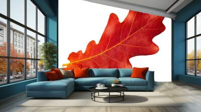 Red autumn leaf oak isolated on white background Wall mural