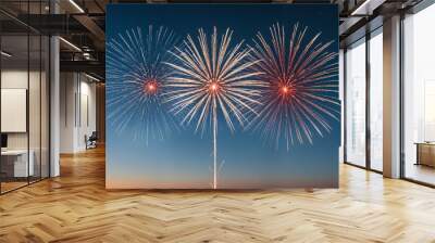 Fireworks Display Art, Celebration, holidays Wall mural