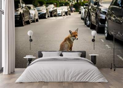 Red fox on a road in London Wall mural