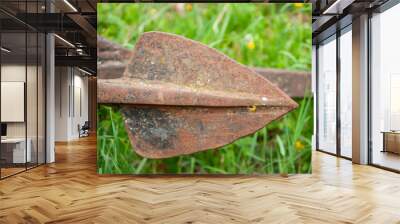 Rusty anchor on the meadow Wall mural