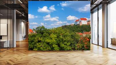 Landshut, panoramic view of the Old Town, Bavaria, Germany Wall mural