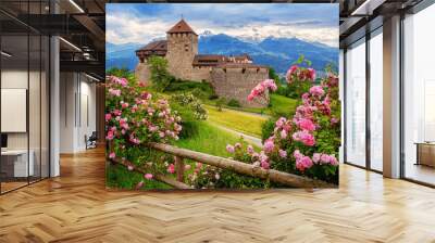 Vaduz castle, Liechtenstein, Alps mountains Wall mural