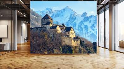 Vaduz Castle, Liechtenstein, with snow covered Alps mountains in background Wall mural