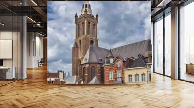 St. Christopher's Cathedral, Roermond, Netherlands Wall mural